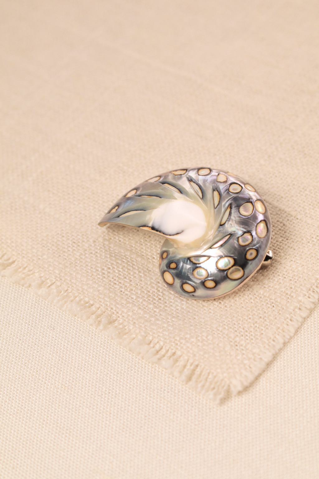 Nautilus Shell Small